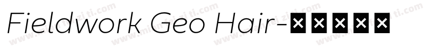 Fieldwork Geo Hair字体转换